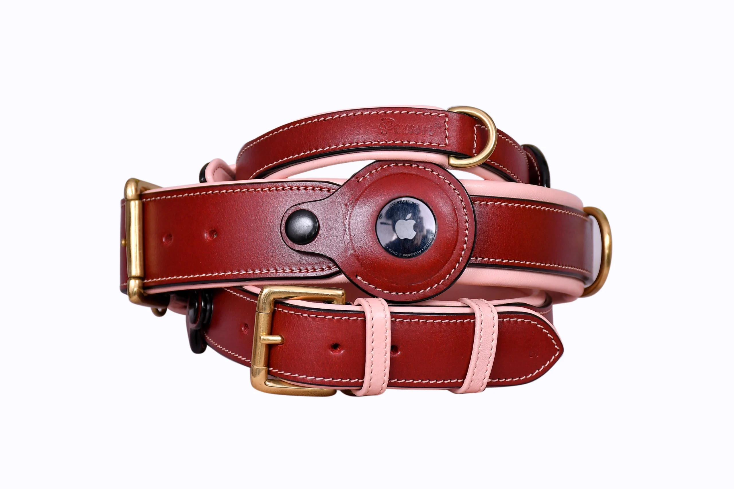 Pawsoft, dog Collar and leashes