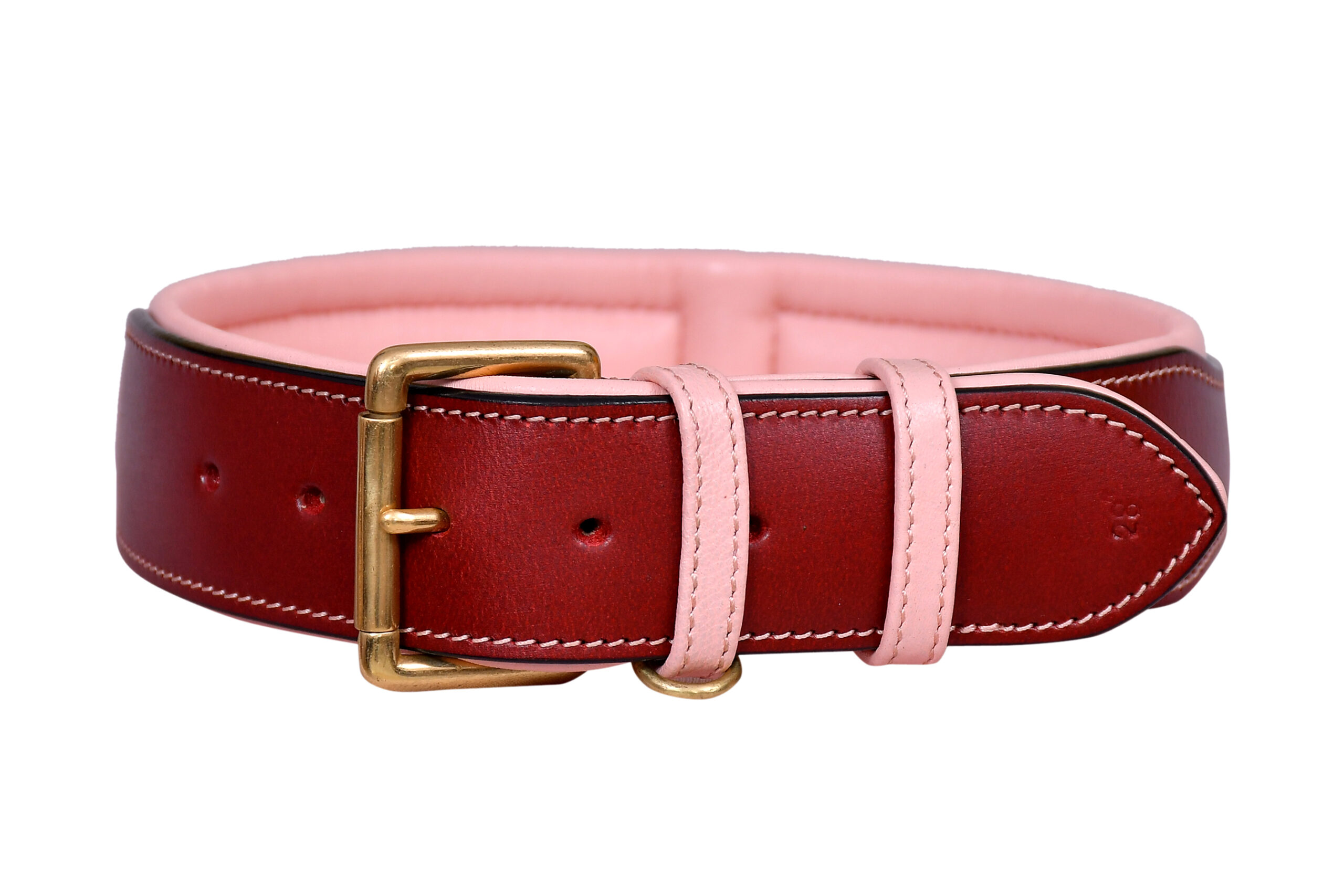 Pawsoft, dog Collar and leashes