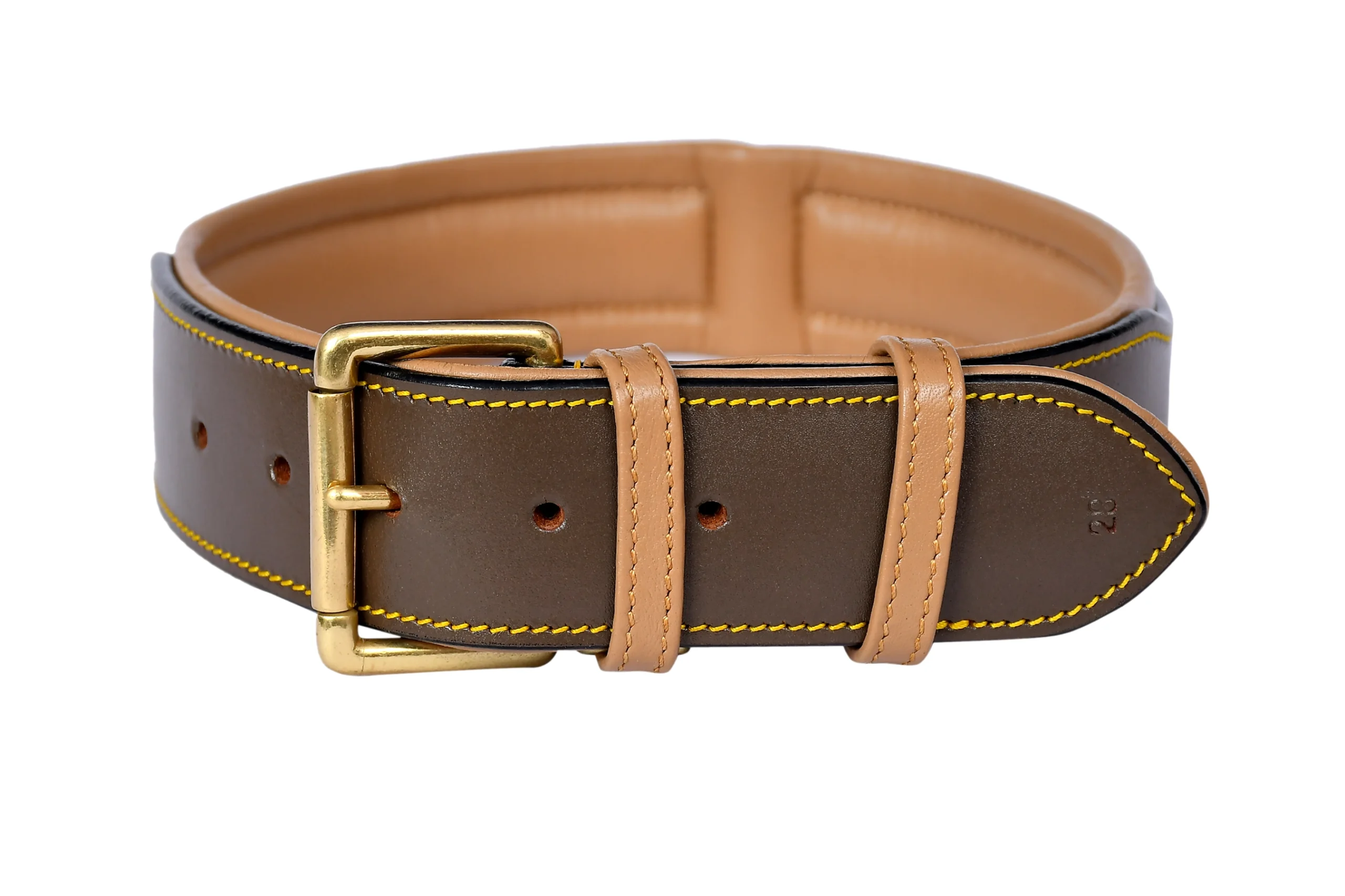 Pawsoft, dog Collar and leashes