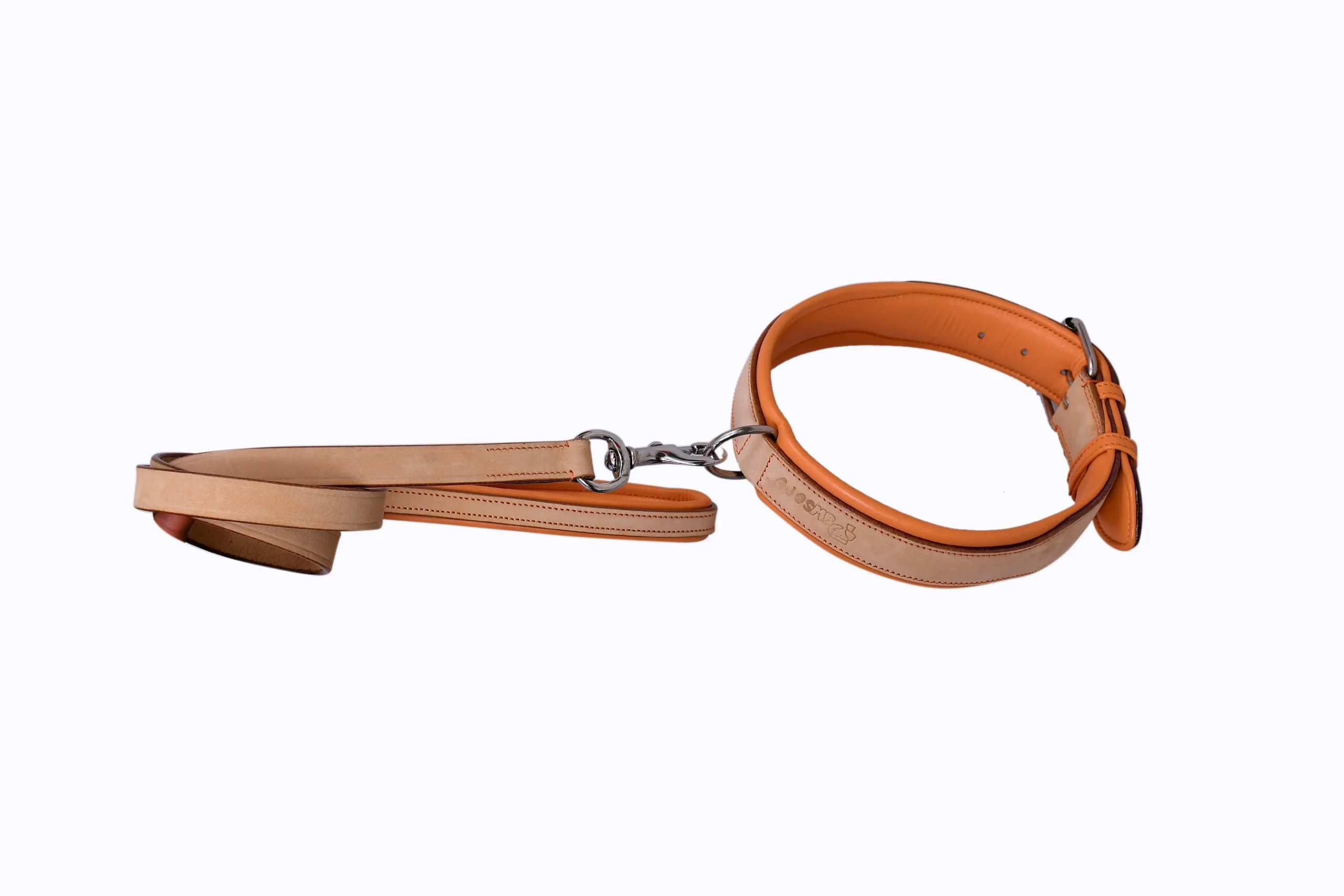 Pawsoft, dog Collar and leashes