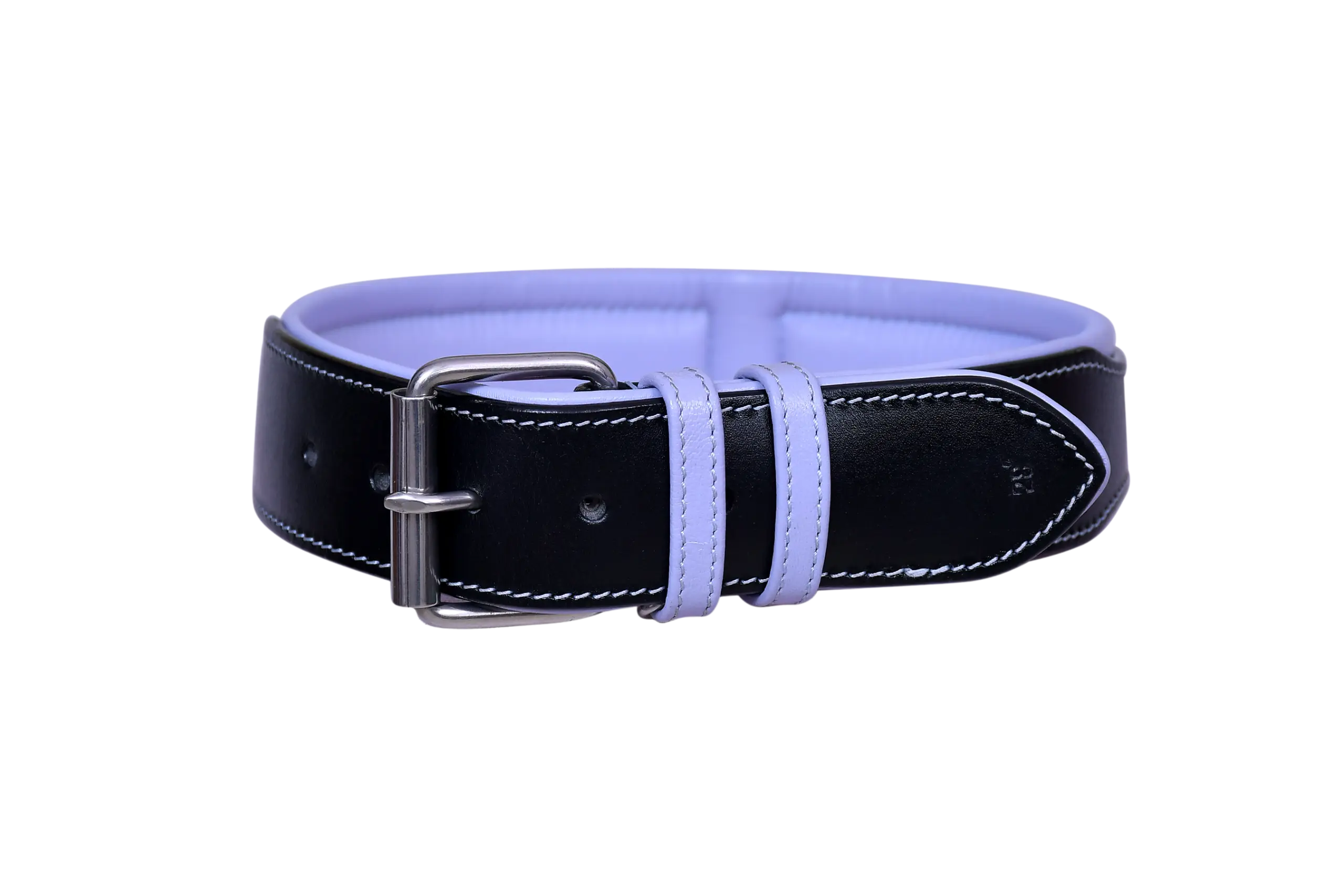 Pawsoft, dog Collar and leashes