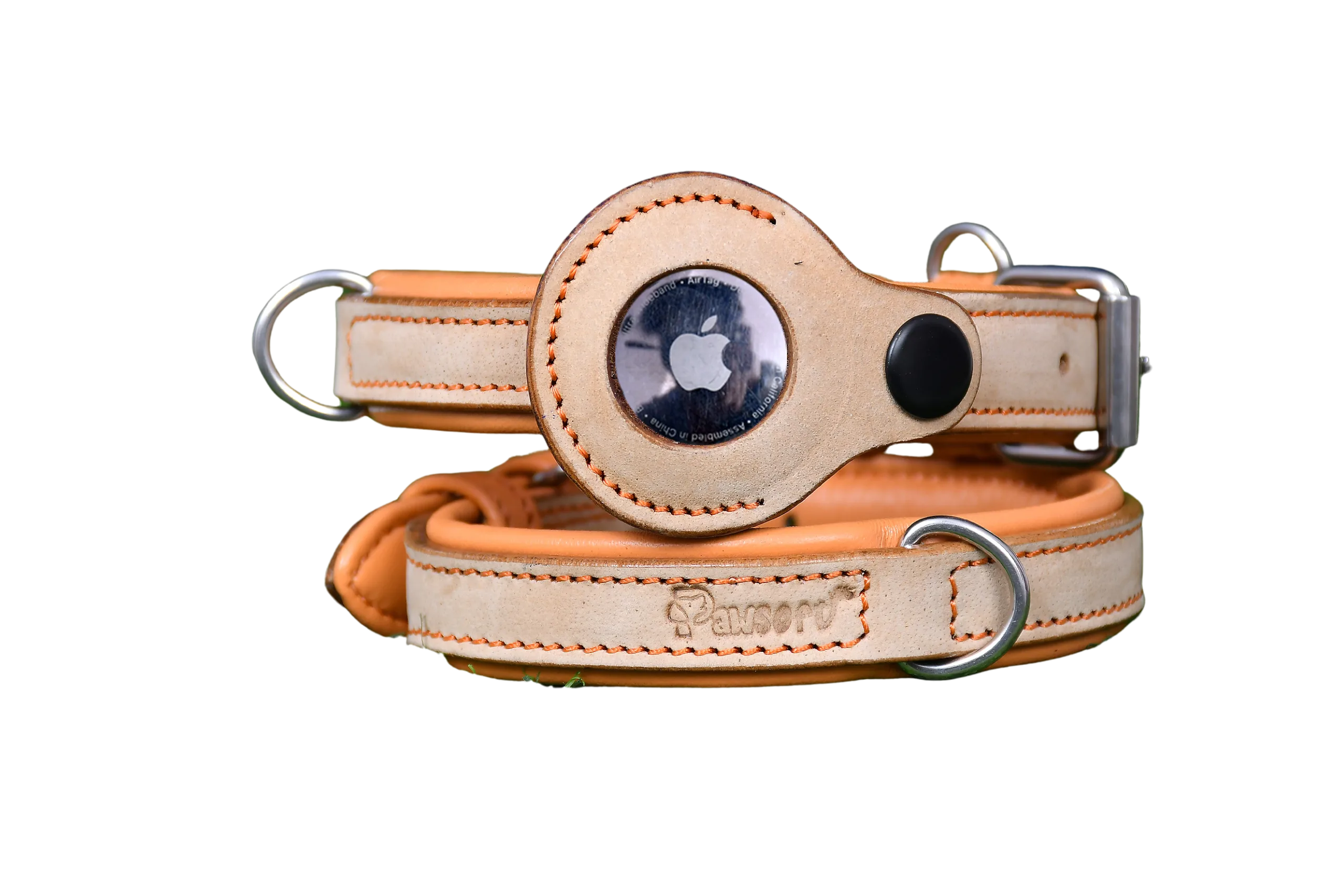 Pawsoft, dog Collar and leashes