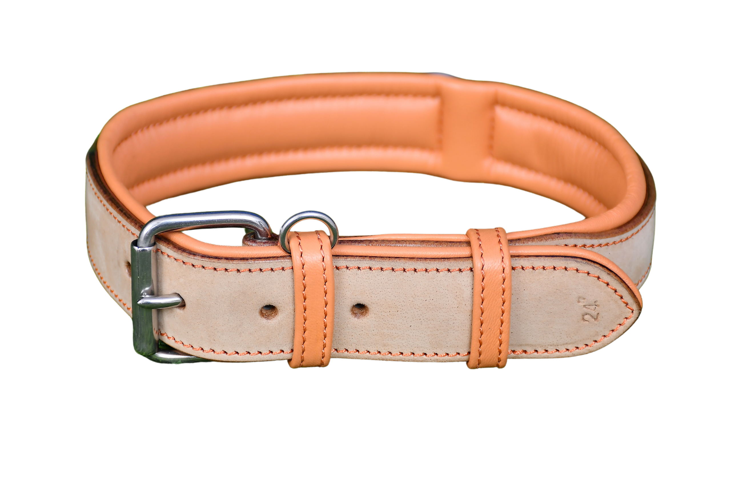 Pawsoft, dog Collar and leashes